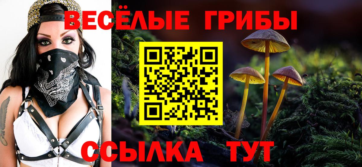 Псилоцибиновые грибы Magic Shrooms Нефтекумск