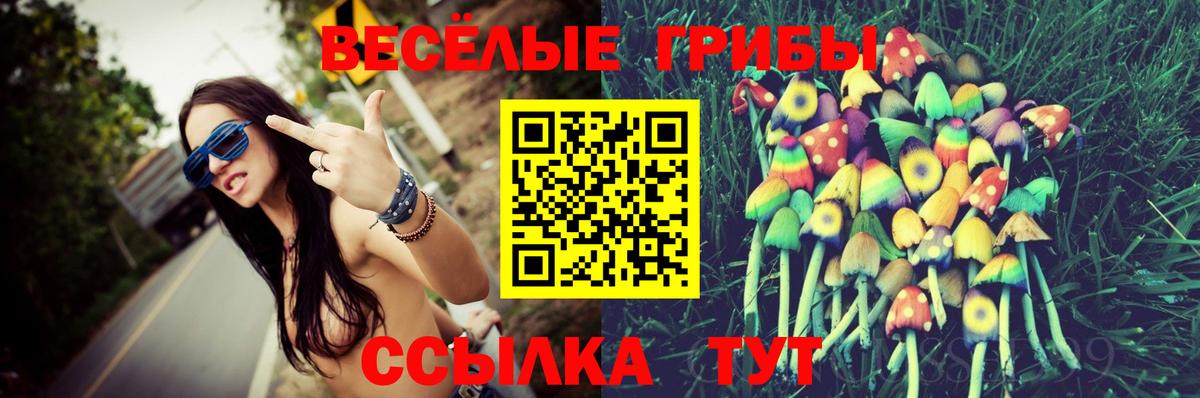 Нефтекумск  Псилоцибиновые грибы Psilocybe  Вход с VPN 